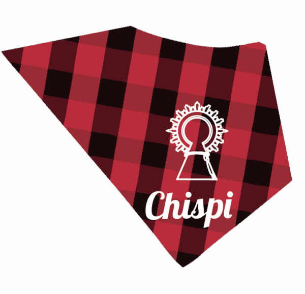 Cachirulo para perros personalizado - Imagen 3