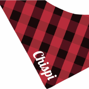 Cachirulo para perros personalizado