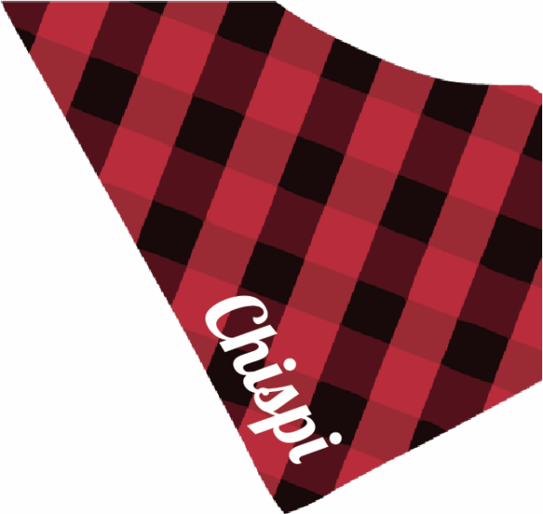 Cachirulo para perros personalizado