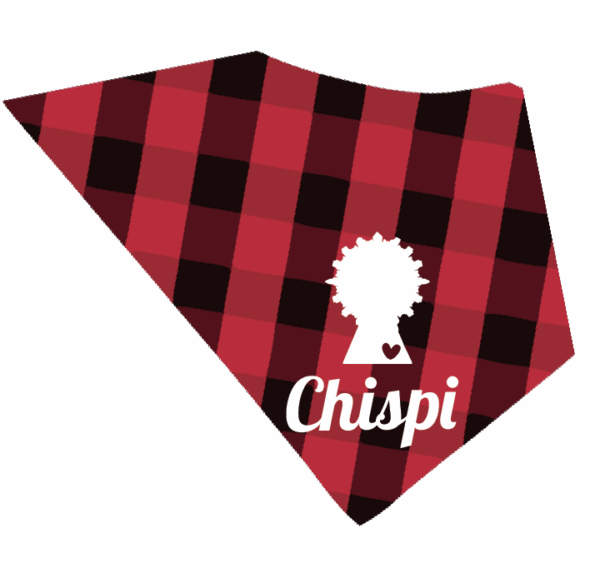 Cachirulo para perros personalizado - Imagen 2