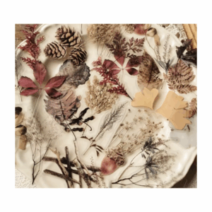 Pegatinas - Flores y hojas